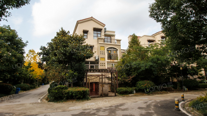 东郊小镇第二街区外景图