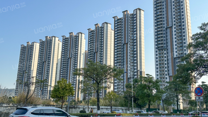 实地木槿雅著外景图