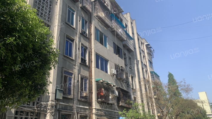 四通南街18号外景图