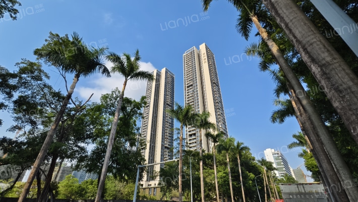 杏林雅苑外景图