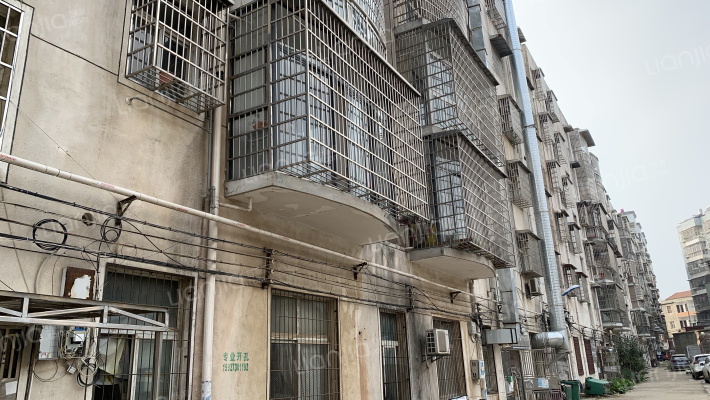 阳逻机场路花园外景图