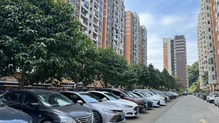 岭头新村外景图