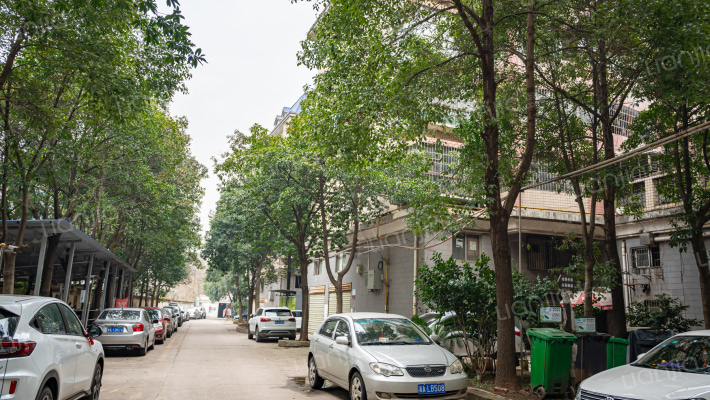 星城名典外景图