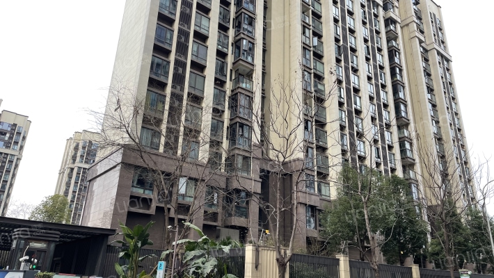 城投置地梧桐栖1期外景图