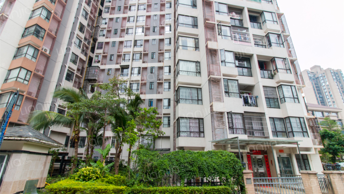 鸿泰八零外景图