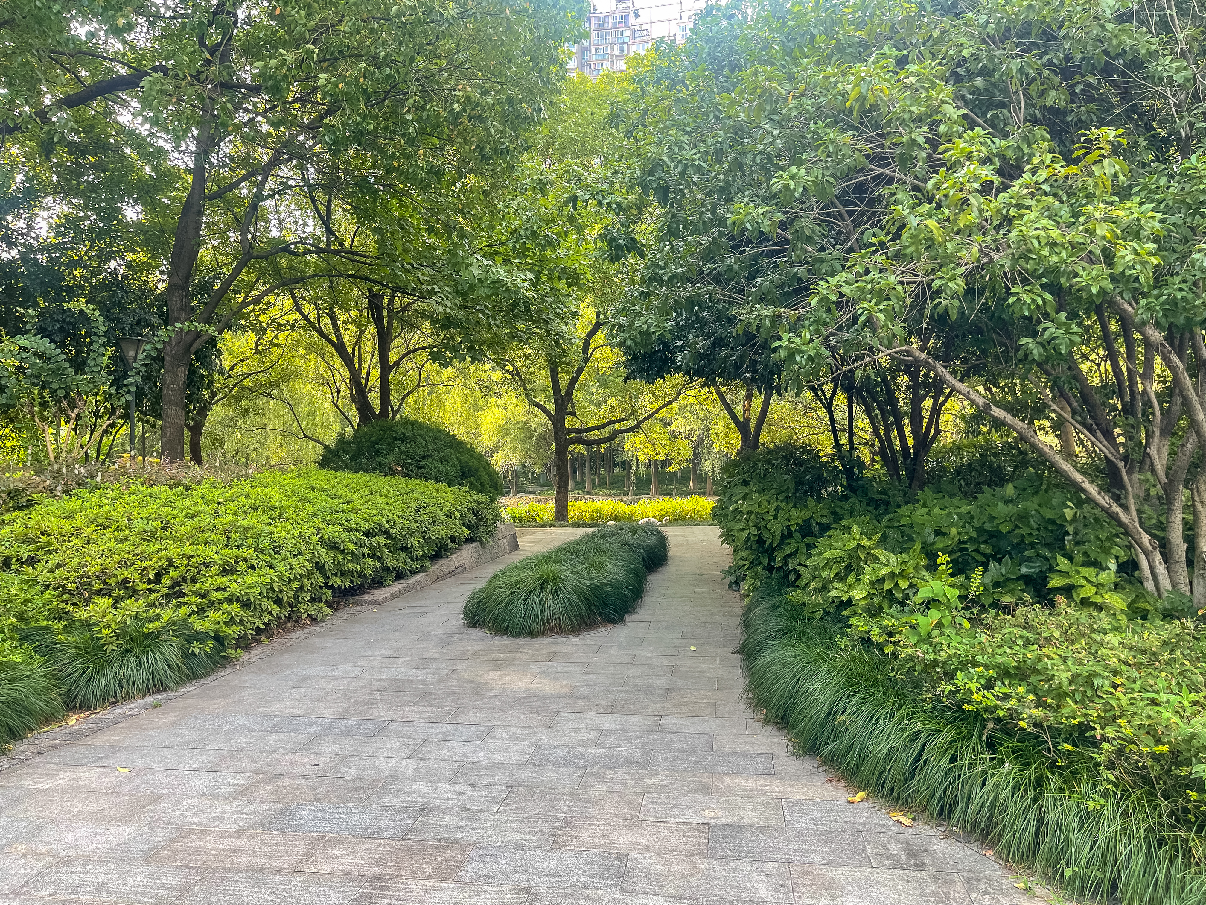 现代名苑小区实景 15