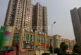 紫御公馆户型图实景图