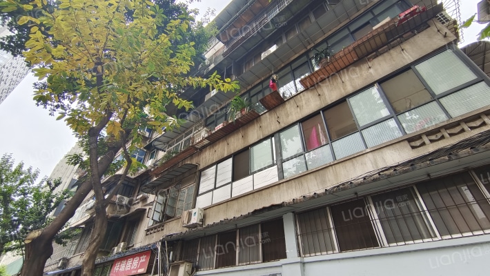 布后街10号外景图