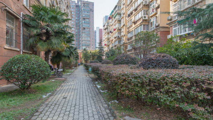 成功花园A区外景图