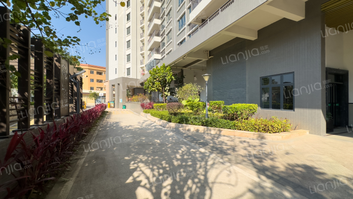 绿洲美景外景图