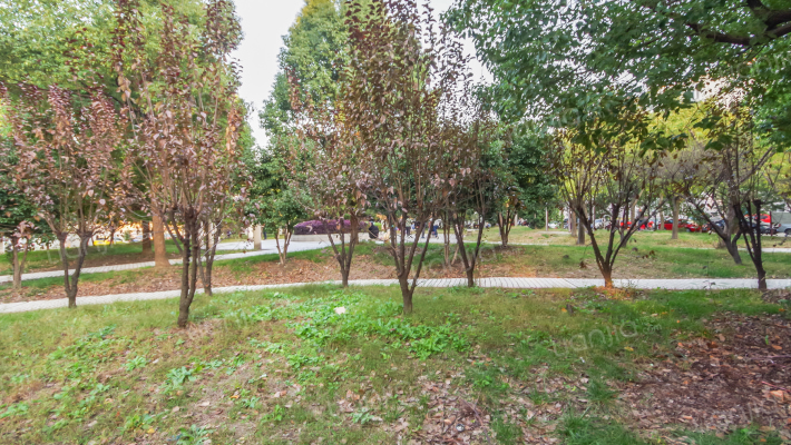 龙西新村箭阙苑外景图