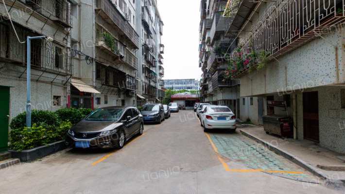 园山雅阁外景图