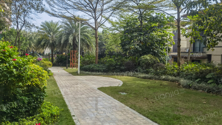 碧桂园森林里外景图