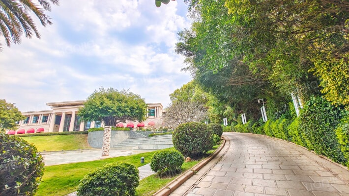 云顶至尊外景图