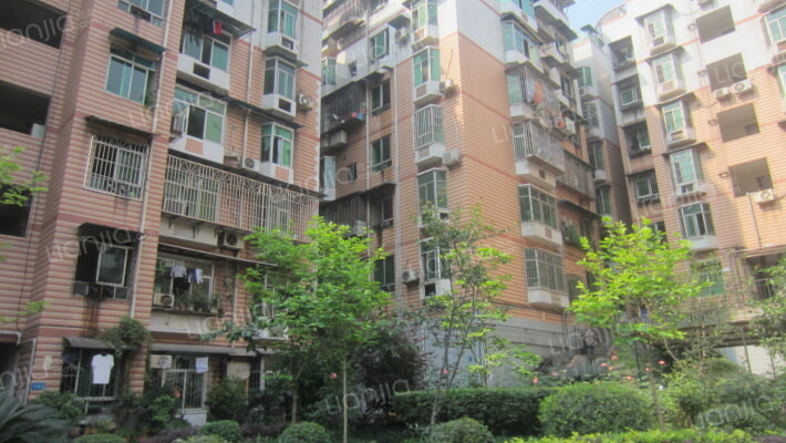 石坪桥横街51号外景图