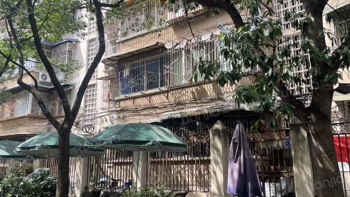 焦家巷35号外景图