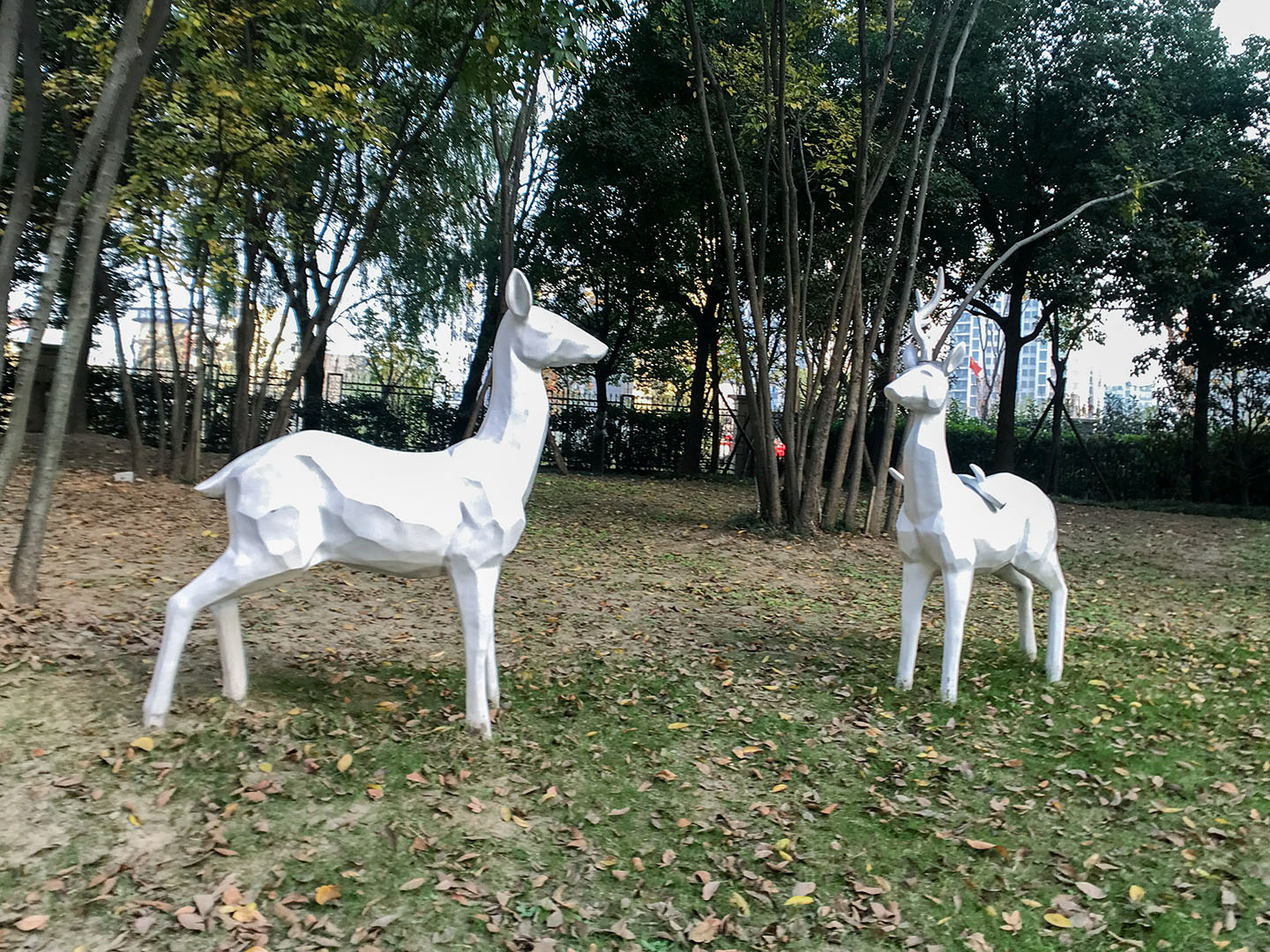 德信大家钱江府小区实景 26