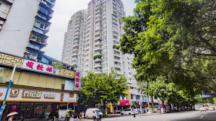 金豪嘉苑外景图