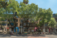新华东路51号户型图实景图