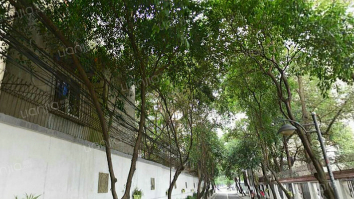 玉林六巷5号外景图