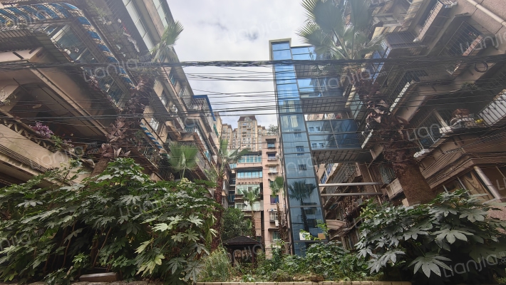 贵州省林业调查规划院外景图