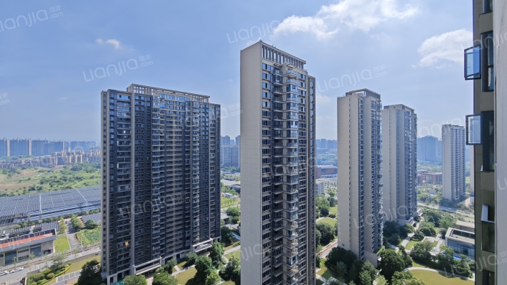 新力东园外景图