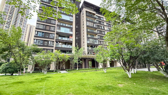 大发熙悦書山境外景图