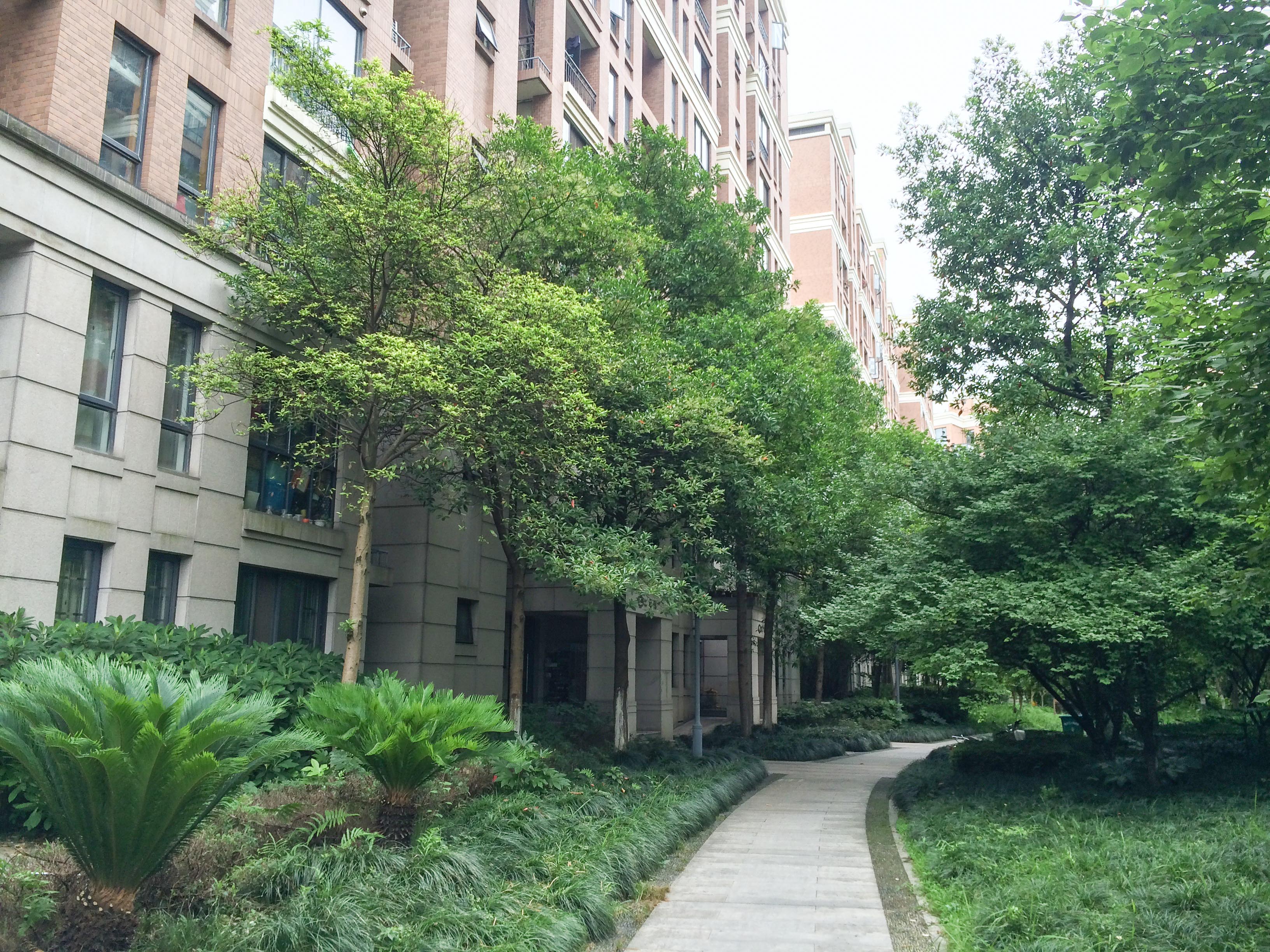 Baijin Haian compound photo 6