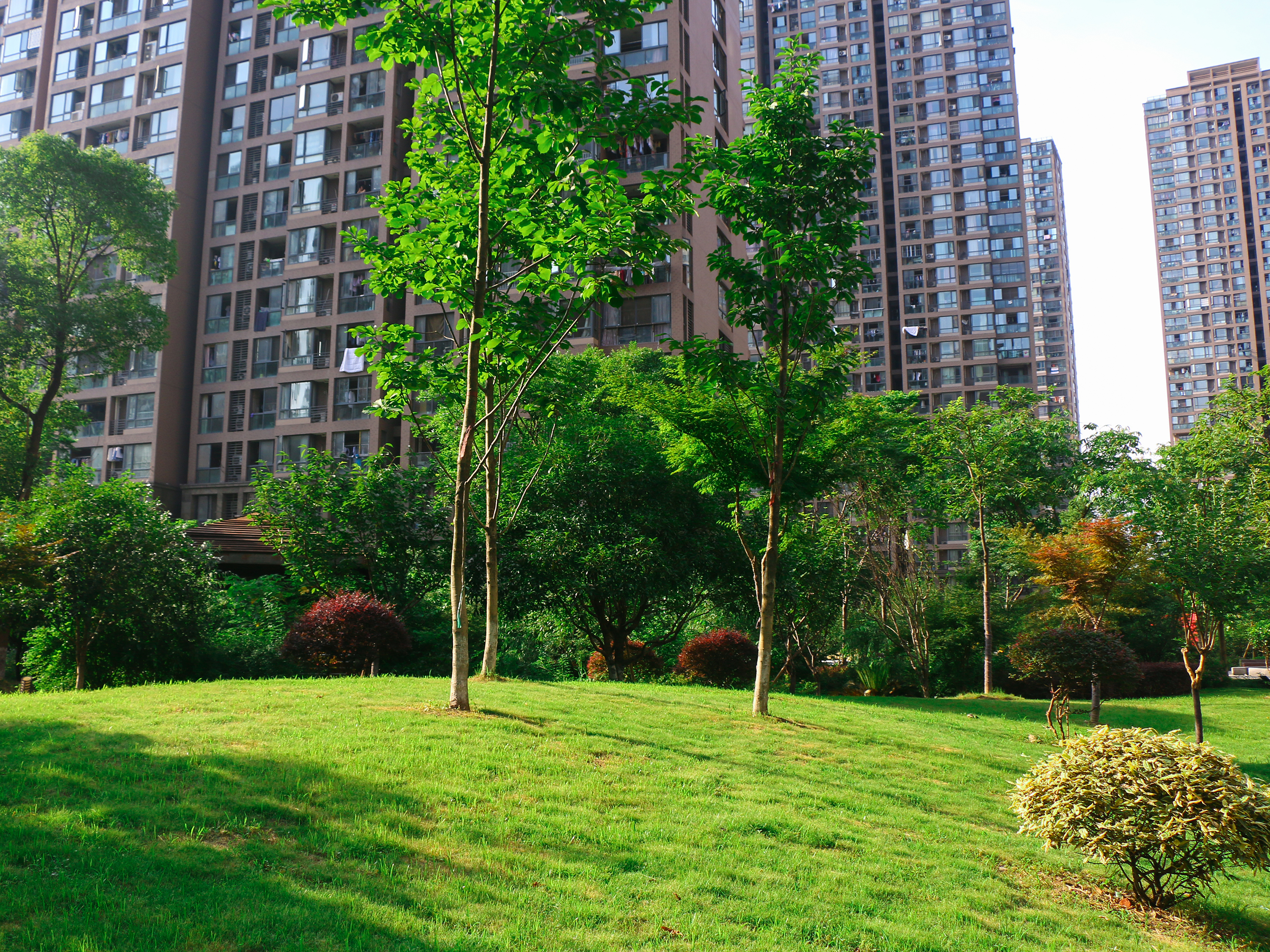 He Xie Jia Yuan（Dongyuan） compound photo 17