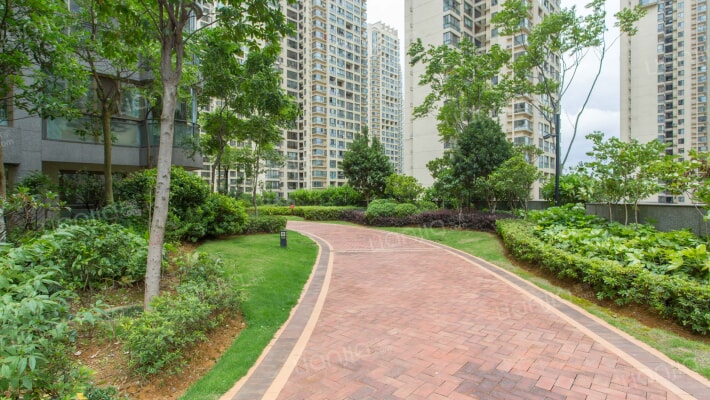 国际城H1组团外景图