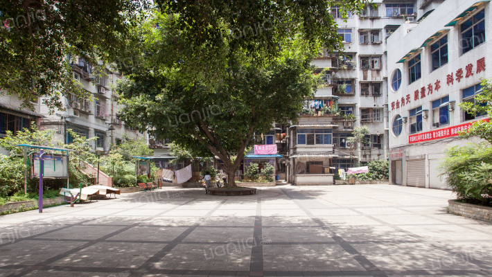 花卉西一路外景图