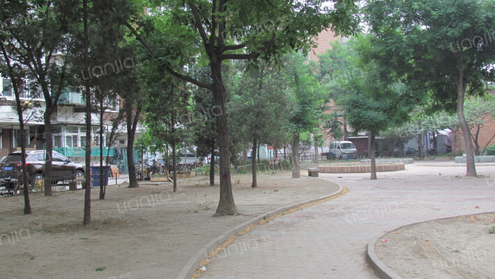 志成东里外景图