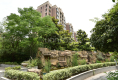 馨宁公寓户型图实景图