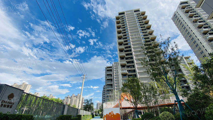 绿城海棠三章·月映海棠外景图