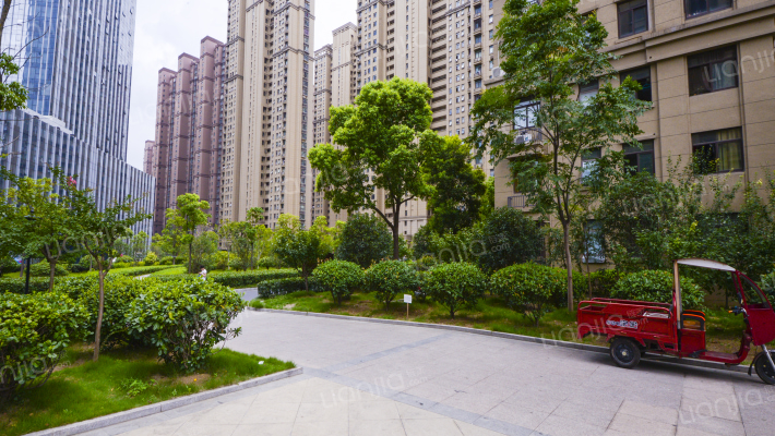 丰大国际外景图