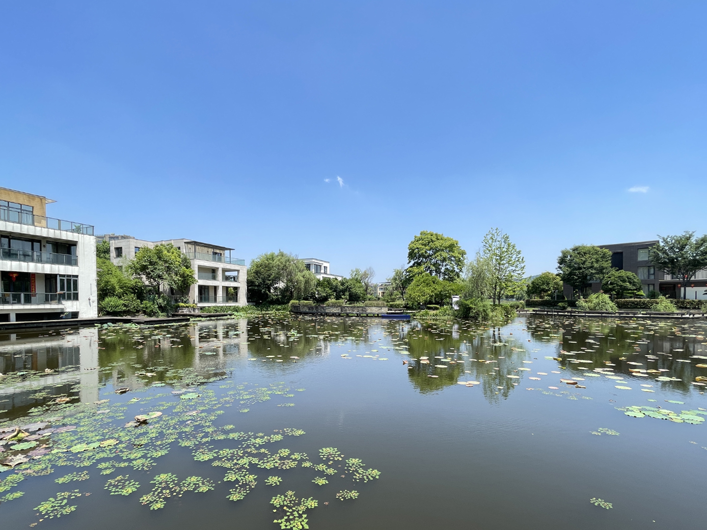 南岸花城小区实景 23