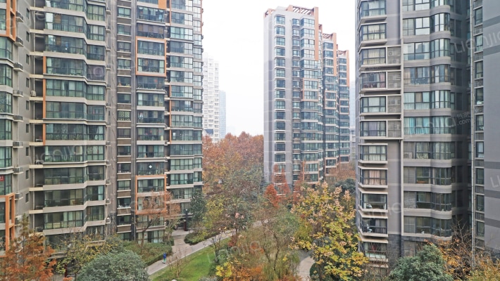 枫林华府外景图