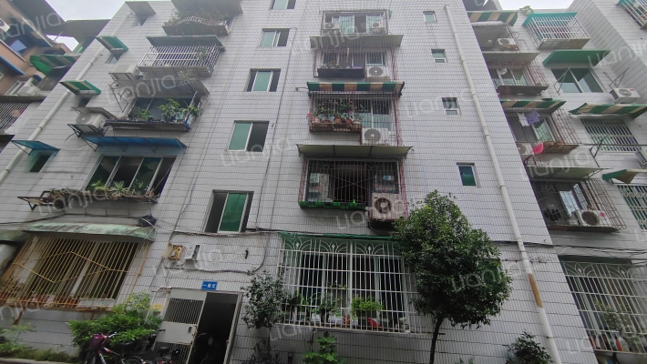 华文苑A区外景图