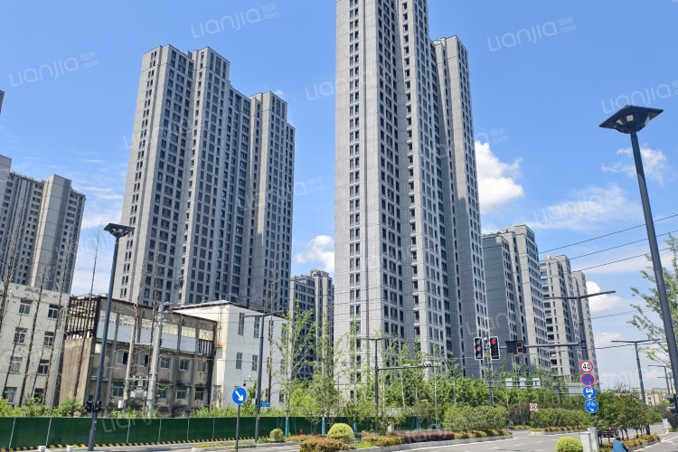 周边 足鉑金頸鍊| 09503N(70厘米/約2.053兩) | 周生生官方網上珠寶店