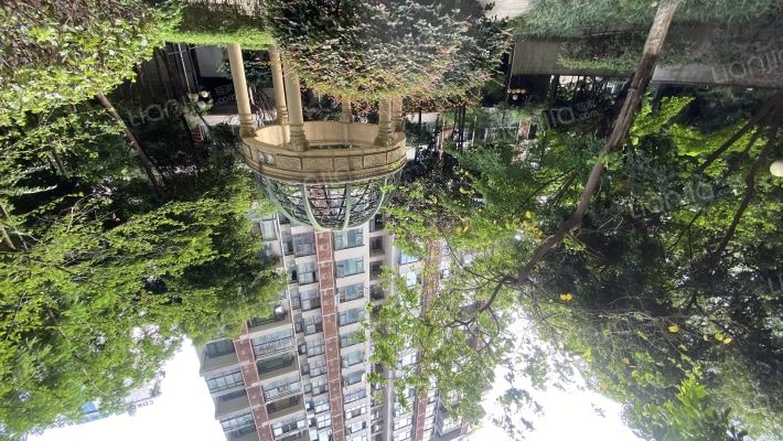 双发金英汇外景图