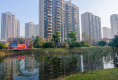 碧桂园学府壹号户型图实景图
