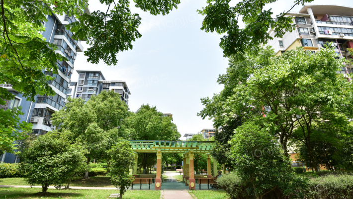 水清年华花园外景图