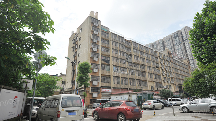 毛家桥水果市场外景图