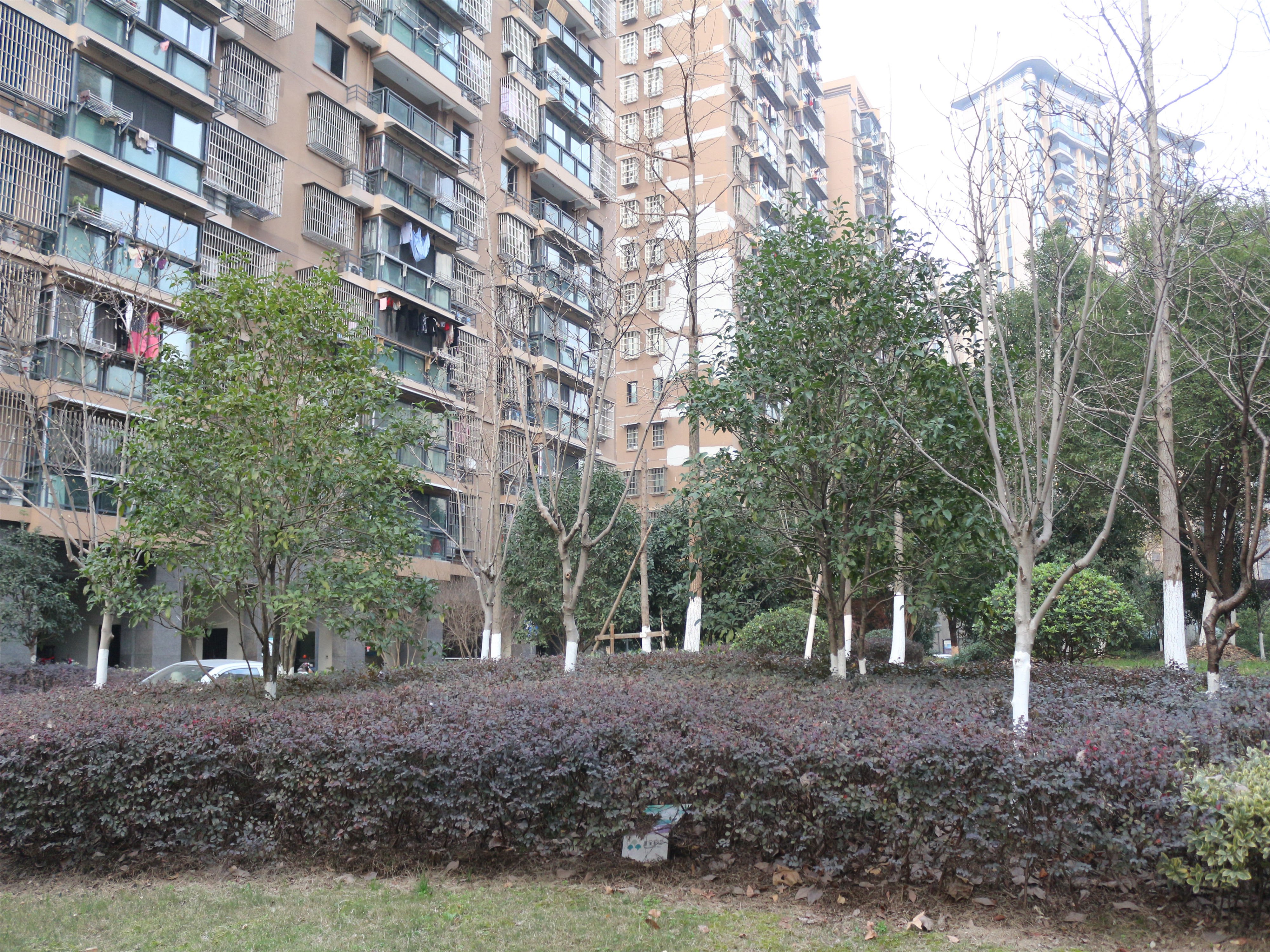 Fangjia Huayuan compound photo 14