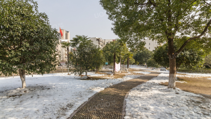 常青花园四小区外景图