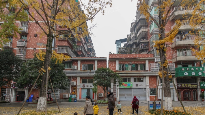 房管局家属房外景图