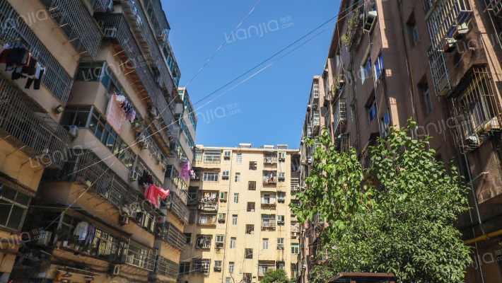 凤凰中大道外景图