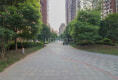 保利城户型图实景图