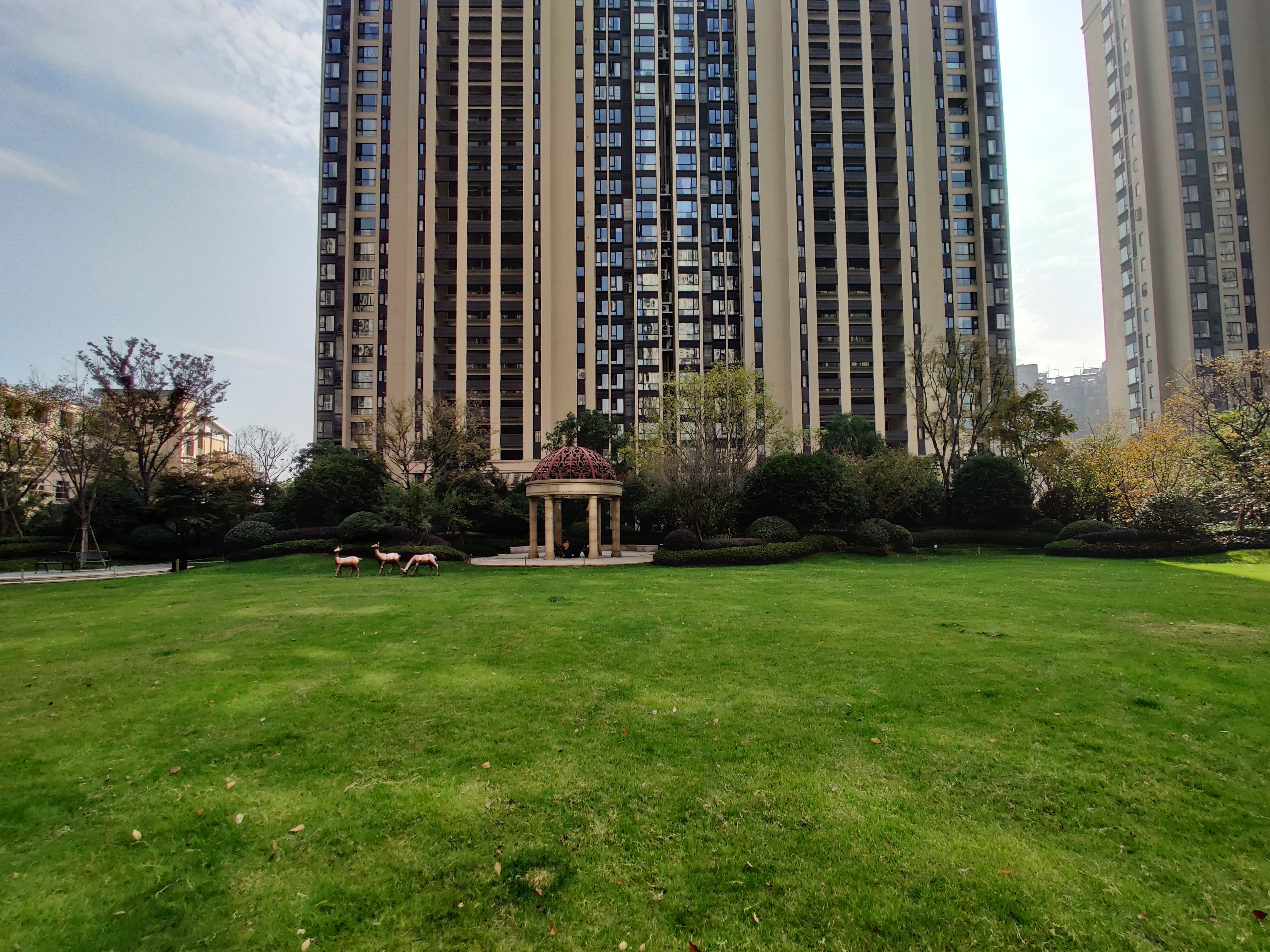 Jin Mao Yue compound photo 9