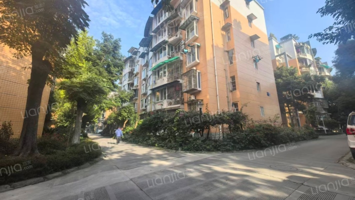 凤溪大道外景图